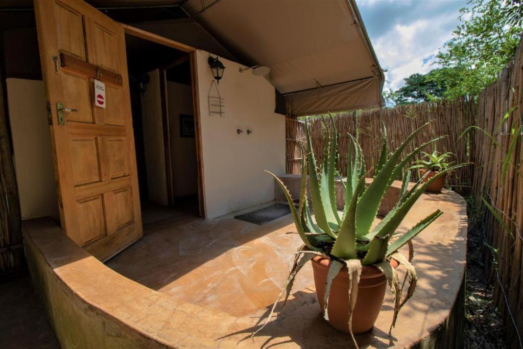 Tembe Elephant Park Lodge Sihangwane Exterior photo