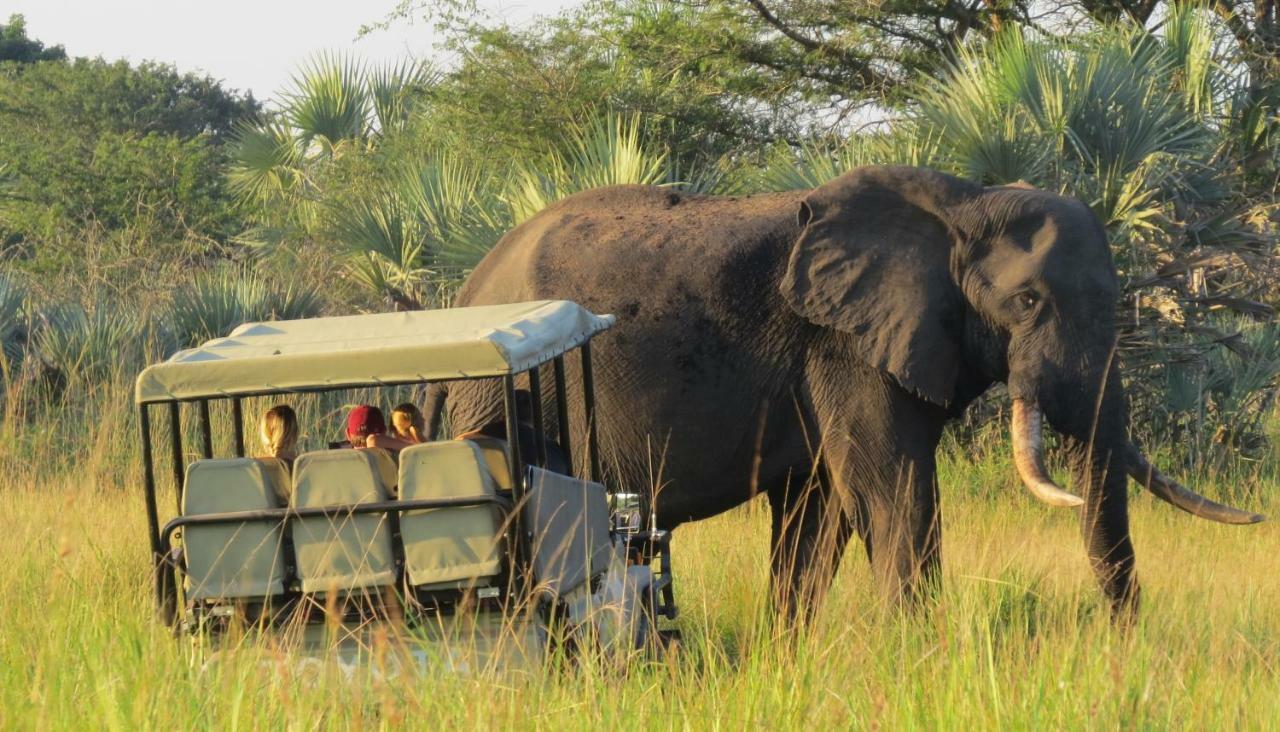 Tembe Elephant Park Lodge Sihangwane Exterior photo
